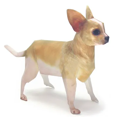 Royal Canin Chihuahua Adult сухой корм для собак породы чихуахуа в возрасте  8 месяцев - 1,5 кг - купить в Москве | КотМатрос