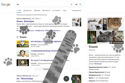 Кот, собака и другие пасхалки в поисковике Google, которые могут  парализовать работу в офисе — Сноб