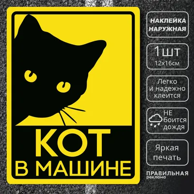 Постер с котом \"Мистер кот\"