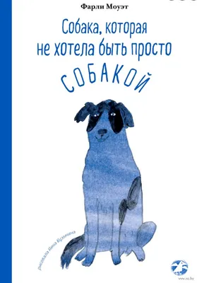 Что делать с вещами умершей собаки | KurskTV.Ru