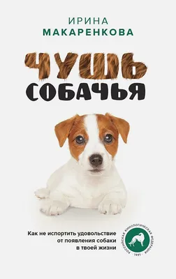 В Приморско-Ахтарске поставили памятник собаке - KP.RU