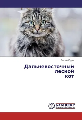 Московский зоопарк показал, как лесной кот исследует загадочный объект -  РИА Новости, 28.11.2020