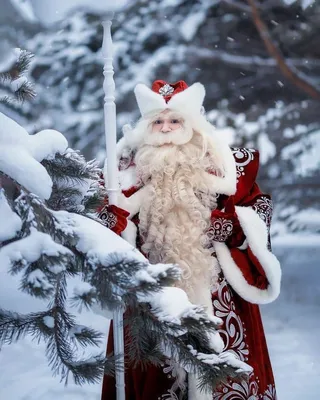 Исключительные фото Деда Мороза: скачать бесплатно