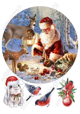 Дед Мороз в магическом разрешении: скачать изображения в png формате