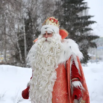 Новогодний Дед Мороз: красивые изображения для скачивания
