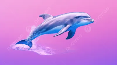 Фотосессия с дельфином может быть уголовно наказуема - РИА Новости Крым,  21.07.2022