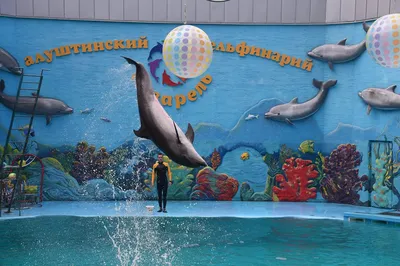 Отзыв о Эллинг \"Дельфин\" (Крым, Алушта) | Отличное сочетание близости моря  и комфорта.