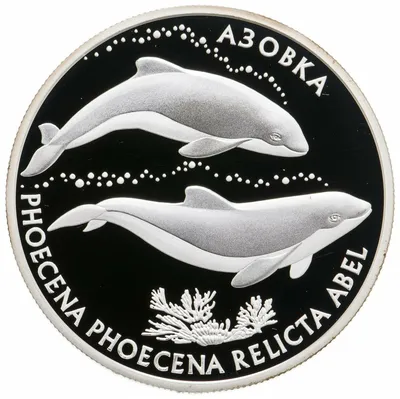 В Крыму туристы сделали селфи на фоне умирающего дельфина - РИА Новости,  01.08.2019