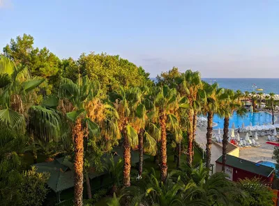Delphin Botanik Hotel and Resort 5* - holiday in Turkey
