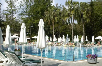 Отель Delphin Botanik Platinum Hotel (Аланья, Турция) 5* — туры в отель  Delphin Botanik Platinum Hotel: Цена, отзывы, фото гостиницы
