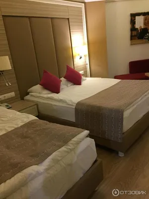 Delphin Deluxe Resort 5* (Окурджалар, Турция), забронировать тур в отель –  цены 2024, отзывы, фото номеров, рейтинг отеля.