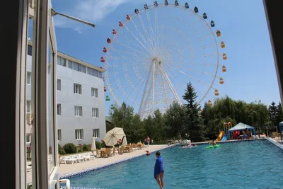 Отель Delphin De Luxe Resort | Аланья, Турция