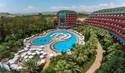 Delphin Deluxe Resort 5* (Окурджалар, Турция) - цены 2023, фото, описание,  отзывы - Коллекция Кидпассаж