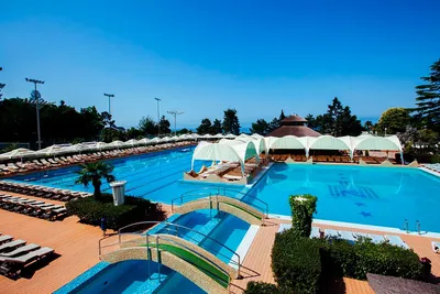 Отель Dolphin Resort by Stellar Hotels / Дельфин Резорт бай Сталлар | Сочи  (курорт) | Центральный район - официальные цены на 2024 год