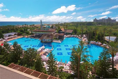 Delphin Diva Premiere Hotel 5* (Анталья, Турция), забронировать тур в отель  – цены 2023, отзывы, фото номеров, рейтинг отеля.