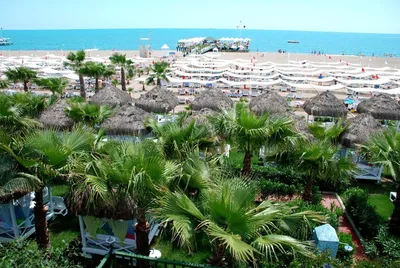 Delphin Diva Hotel - Lara, Antalya - On The Beach