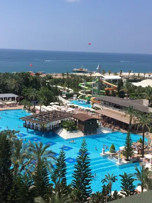 Crystal Prestige Elite Hotel 5* (Кемер, Турция) - цены, отзывы, фото,  бронирование - ПАКС