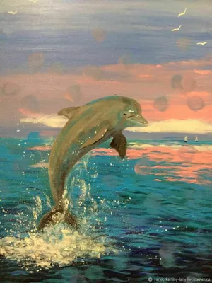 Аквапарк дельфин