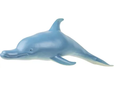 Дельфин Под Водой На Риф Фоне — стоковые фотографии и другие картинки  Дельфин - Дельфин, Под водой, Море - iStock