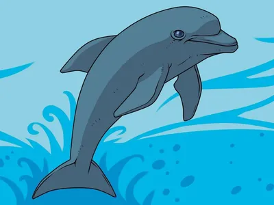 delfin, delphin, dolphin, dauphin, delfín, delfino, golfinho, großer  tümmler, tursiops truncatus Stock Photo | Adobe Stock