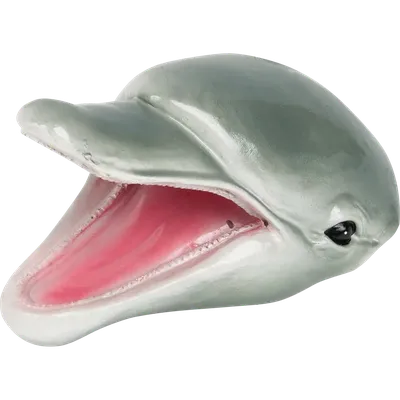 Фигура для водоёмов «Дельфин» высота 20 см по цене 243 ₽/шт. купить в  Москве в интернет-магазине Леруа Мерлен