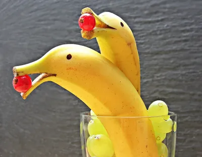 Банановый Дельфин Бананы - Бесплатное фото на Pixabay - Pixabay