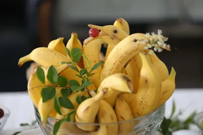 Банан дельфин 🐬» — создано в Шедевруме