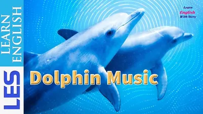 Google утверждает, что артист Дельфин умер. | Пикабу