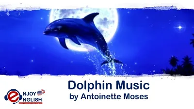 Tin Dolphin Recording Studios