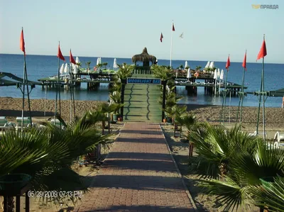 Отель Delphin Diva Premiere | Анталия, Турция