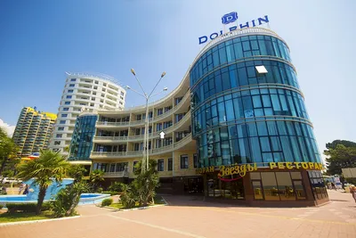 Отель Dolphin в Сочи 3*: описание и фото — «Фордевинд»