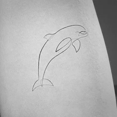 Dolphin Tattoo by andy023 on DeviantArt