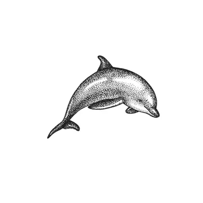 Simple Dolphin Tattoo Design | Inku Paw