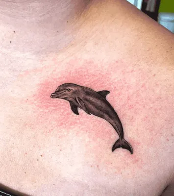 Dolphin tattoo done. One of the most essential things to know about  dolphins is that they are very playful. This makes them a very good… |  Instagram