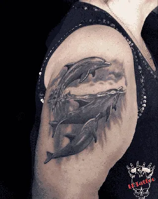 Тату дельфин (6 фото) - значение татуировки, эскизы 2024