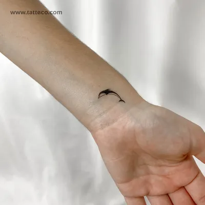 Little Dolphin Tattoo - Tattoonomy