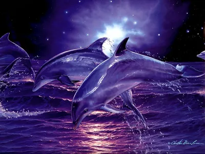 Дельфины - заставки на рабочий стол