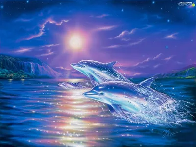 Обои на рабочий стол Дельфины над водой в лунную ночь, обои для рабочего  стола, скачать обои, обои бесплатно