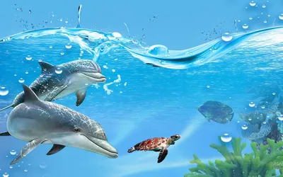 Обои для рабочего стола Дельфины Подводный мир животное Рисованные