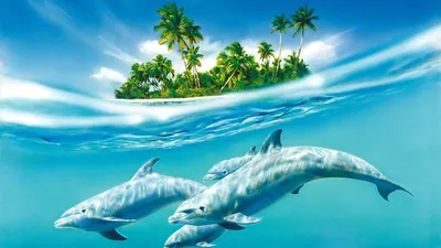 Обои \"Дельфин\" на рабочий стол, скачать бесплатно лучшие картинки Дельфин  на заставку ПК (компьютера) | mob.org