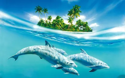 Дельфины и остров скачать фото обои для рабочего стола