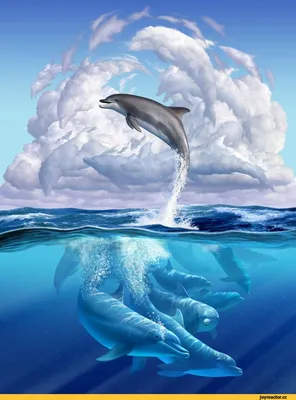 красивые картинки :: море :: живность :: дельфины / картинки, гифки,  прикольные комиксы, интересные статьи по теме.