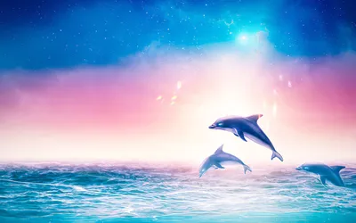 Красивые обои с дельфинами - фото и картинки abrakadabra.fun