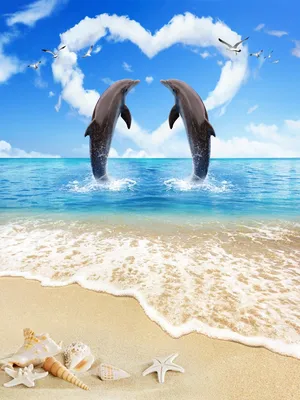 Красивые фотографии дельфинов (20 фото)