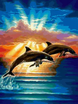 прекрасный дельфин, выпрыгивающий из моря на закате Стоковое Изображение -  изображение насчитывающей быстро, скорость: 229125723