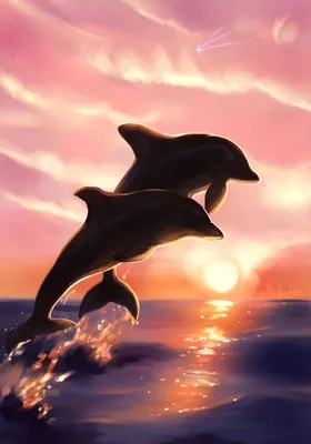Дельфины в воде на закате | Премиум Фото