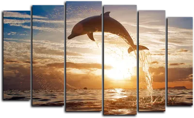 дельфины прыгают по волнам Фото Фон И картинка для бесплатной загрузки -  Pngtree