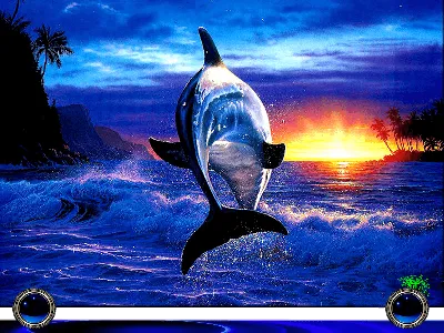 Дельфины на закате (75 фото) - 75 фото