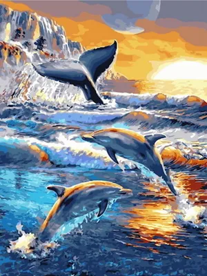 Постер на заказ Дельфины ныряют на закате Nr. f00683