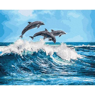 В Анапе дельфины подплывают к берегу и забавляют людей: чем опасны дельфины,  могут ли они напасть на людей - 17 августа 2023 - НГС.ру